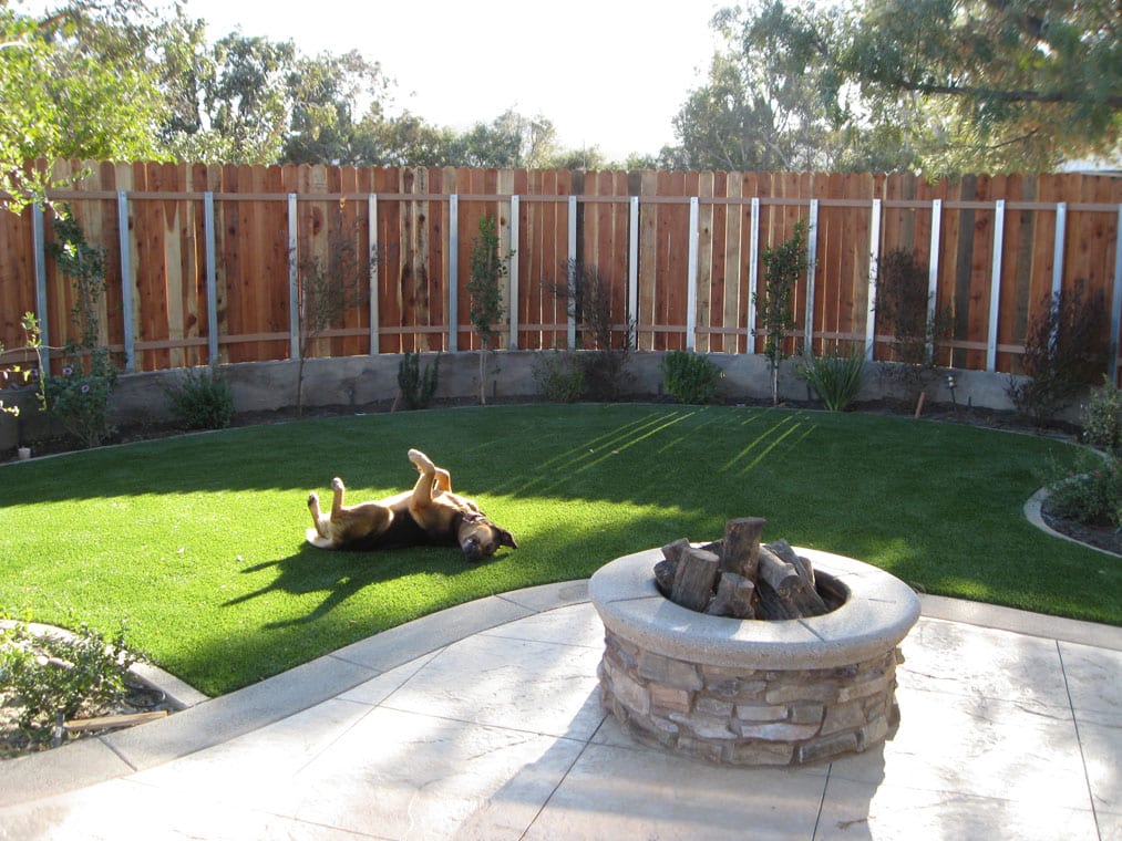 ProLawn Pet Temecula ca turf